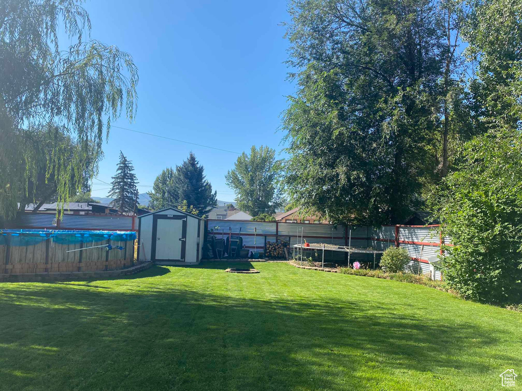 View of yard with a shed