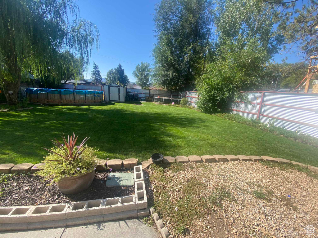 View of yard with a storage shed