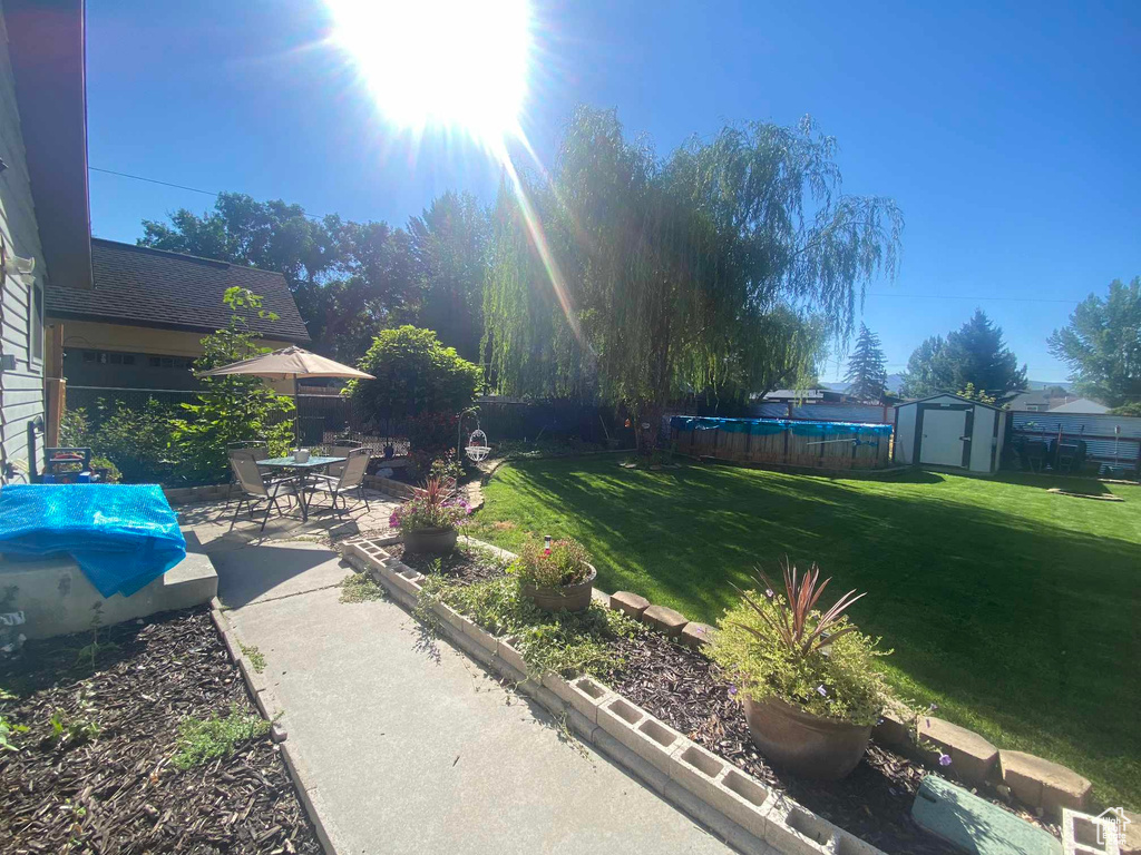 View of yard featuring a swimming pool, a patio, and a storage unit