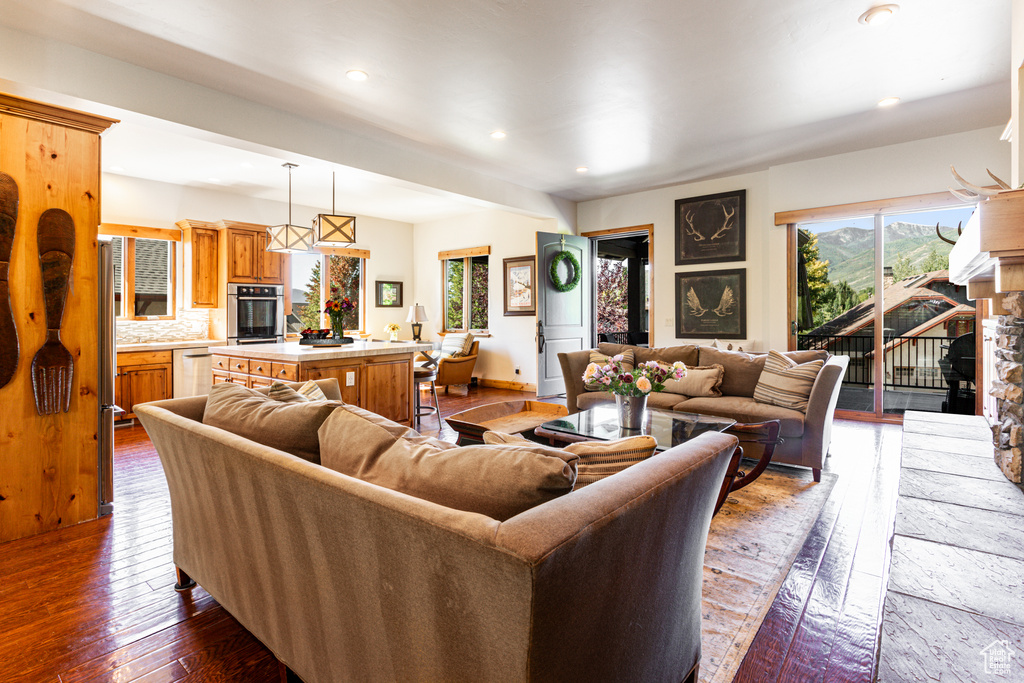 Living room featuring dark wood-type flooring and a fireplace