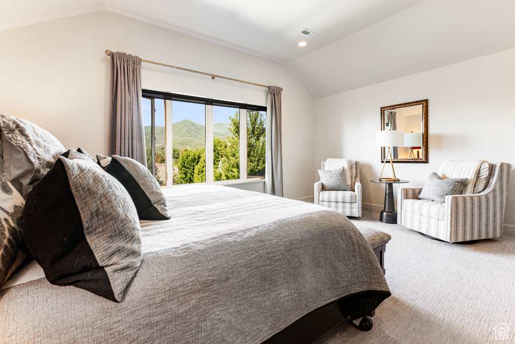 Carpeted bedroom featuring vaulted ceiling