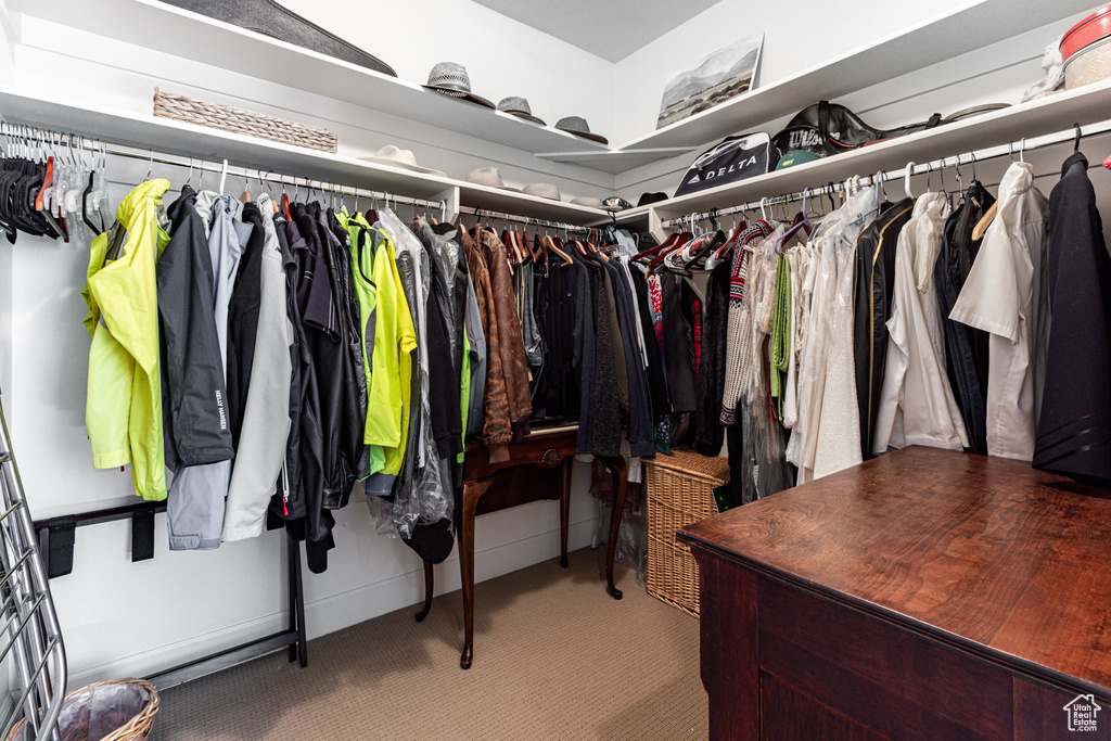 Spacious closet featuring light carpet