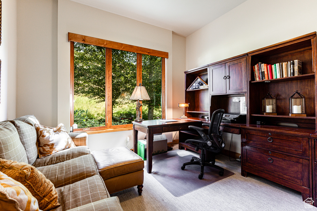 View of carpeted office