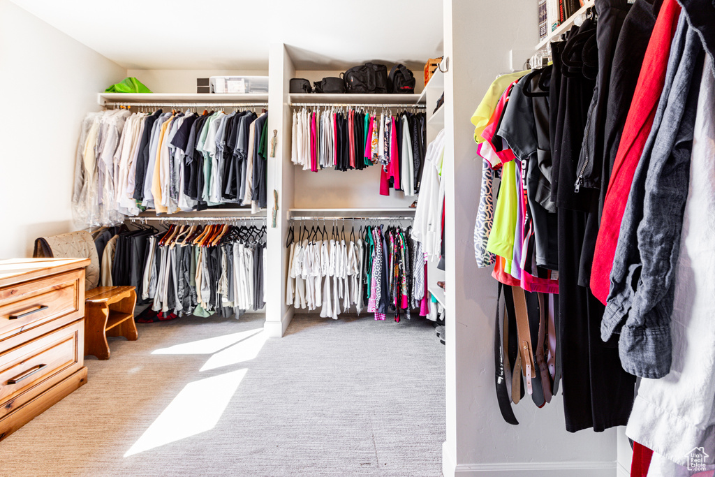 Spacious closet with light carpet