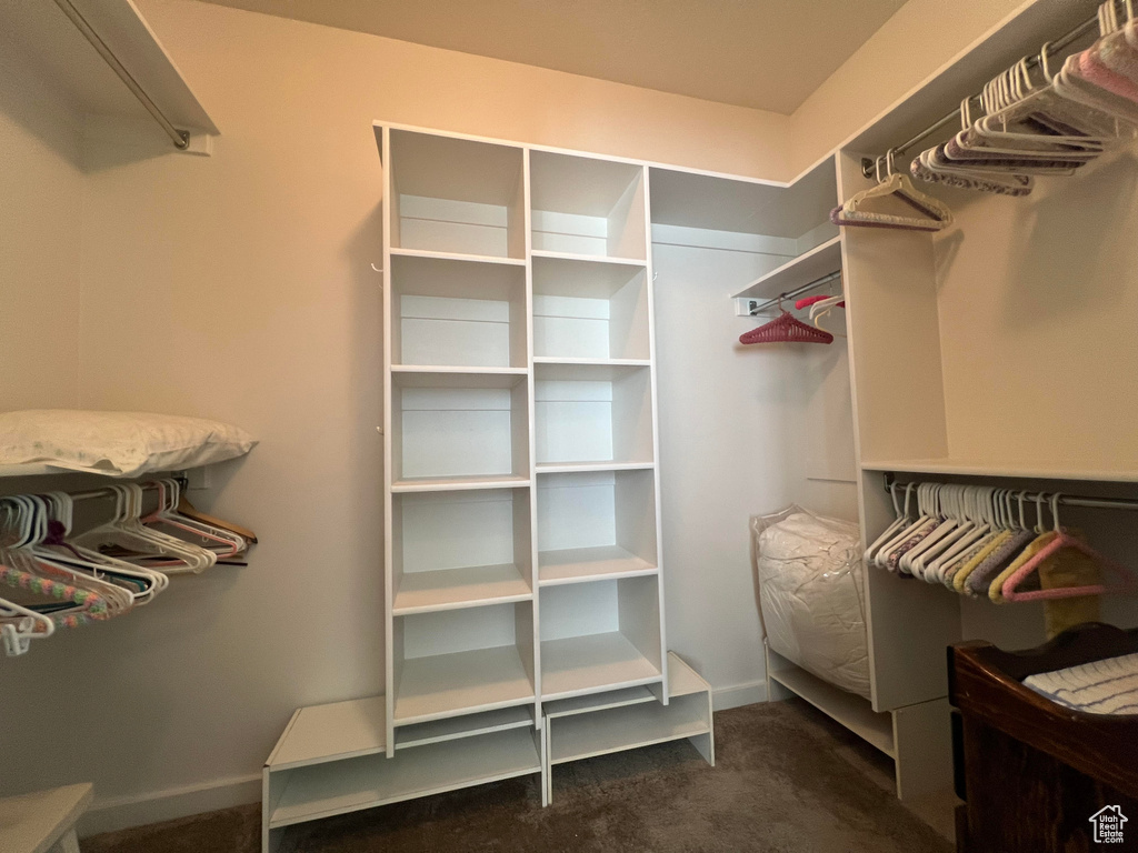 Spacious closet with dark carpet