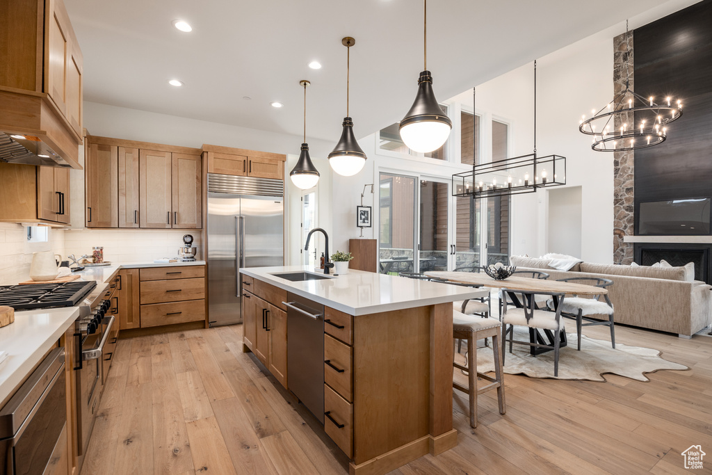 Kitchen featuring premium appliances, an island with sink, light hardwood / wood-style floors, and sink