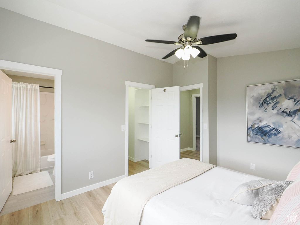 Bedroom featuring a walk in closet, a closet, ensuite bath, ceiling fan, and light wood-type flooring