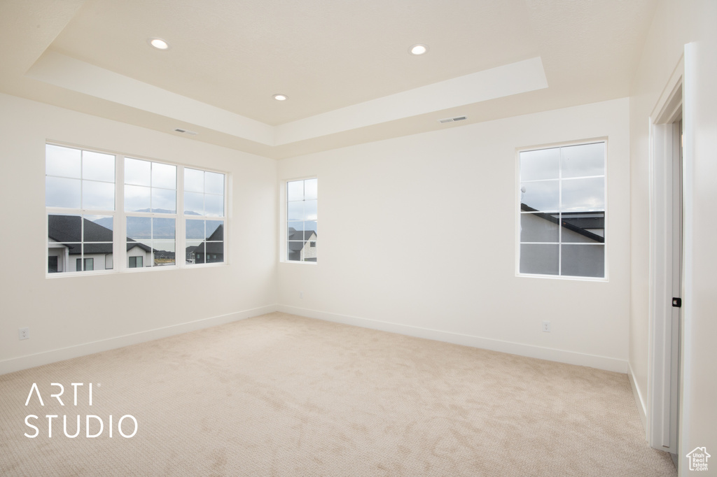 Unfurnished room with a tray ceiling and light colored carpet