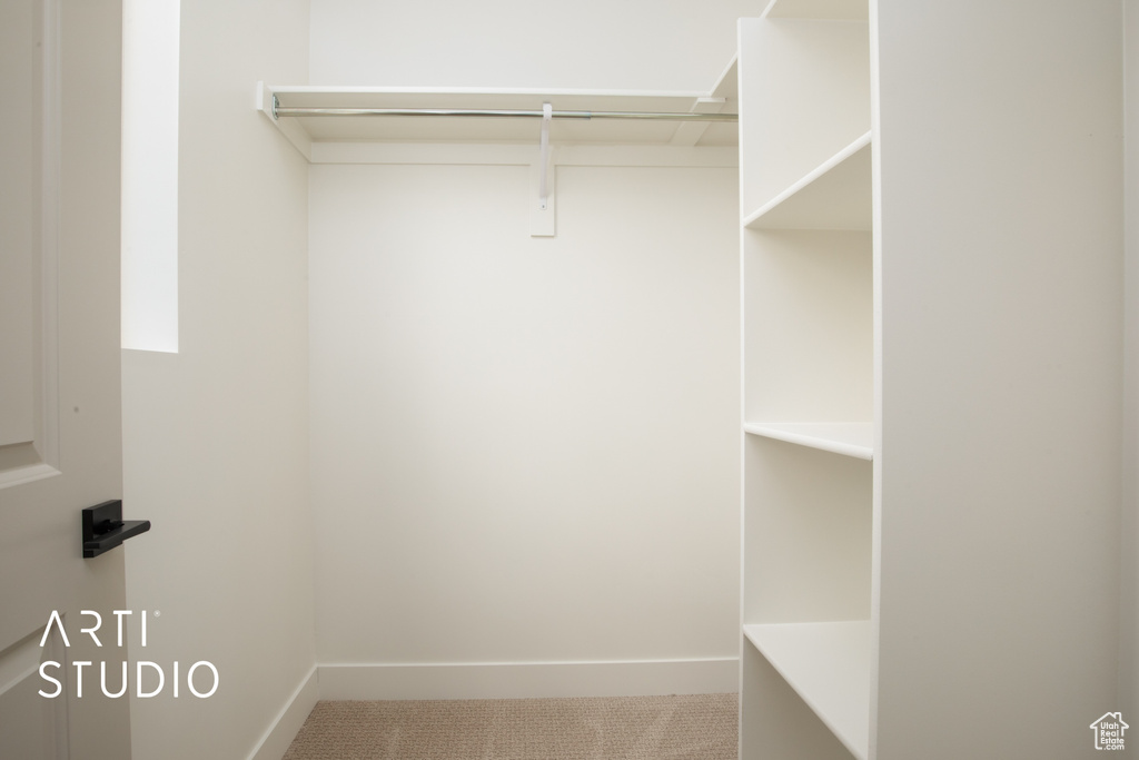 Walk in closet featuring carpet floors