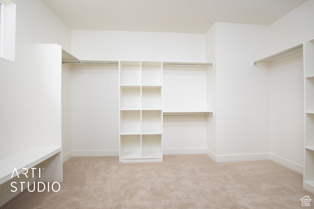 Spacious closet featuring light colored carpet