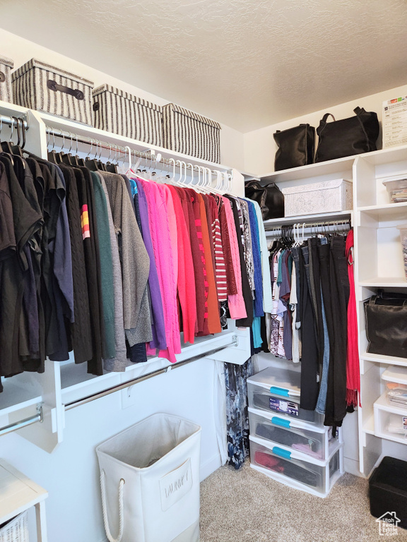 Spacious closet featuring carpet flooring