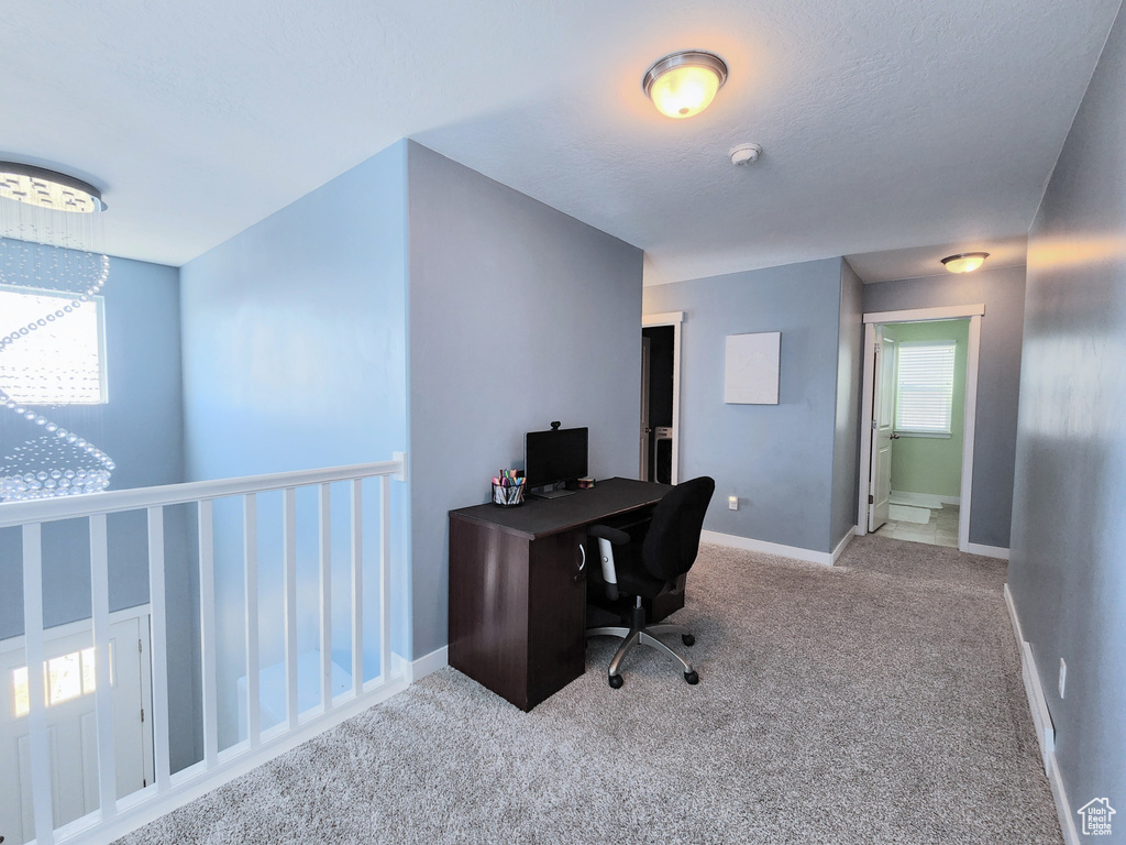 Office with a textured ceiling and carpet flooring