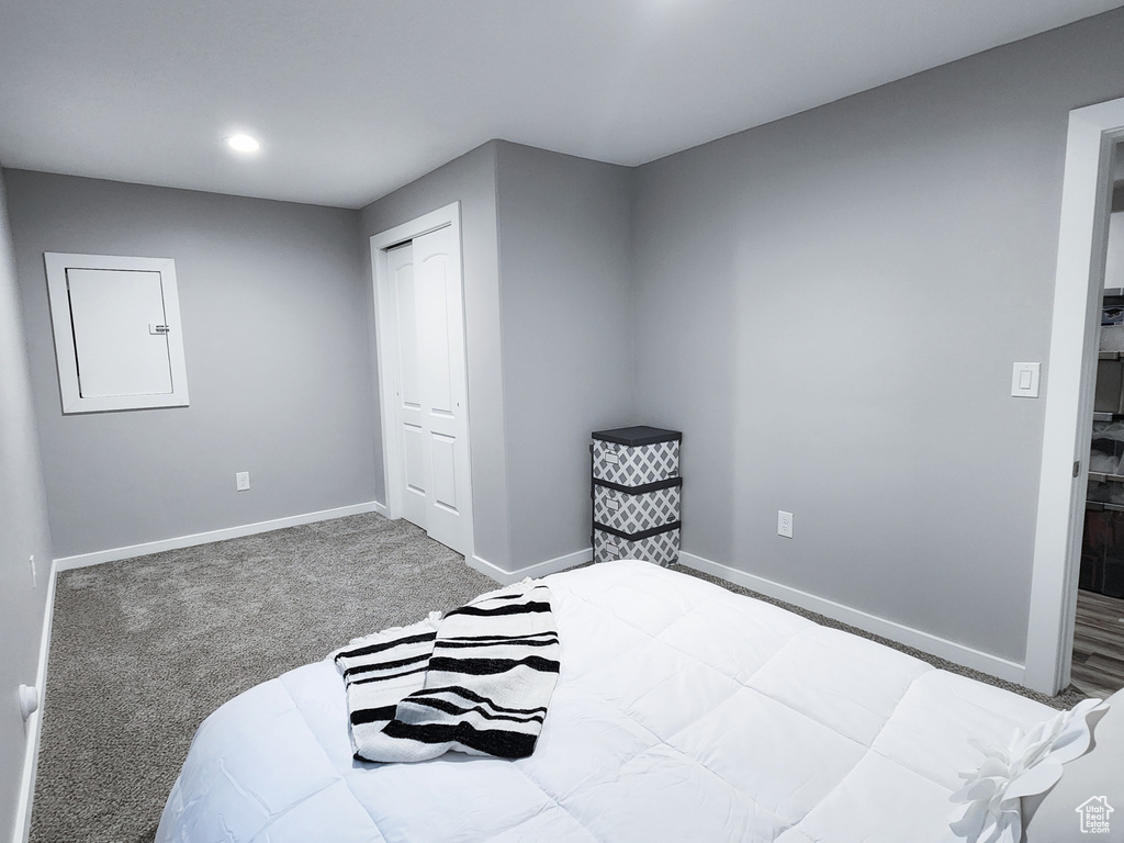 Bedroom featuring carpet and a closet