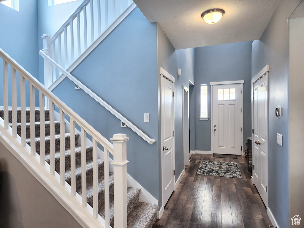 Entryway with dark hardwood / wood-style floors and a towering ceiling