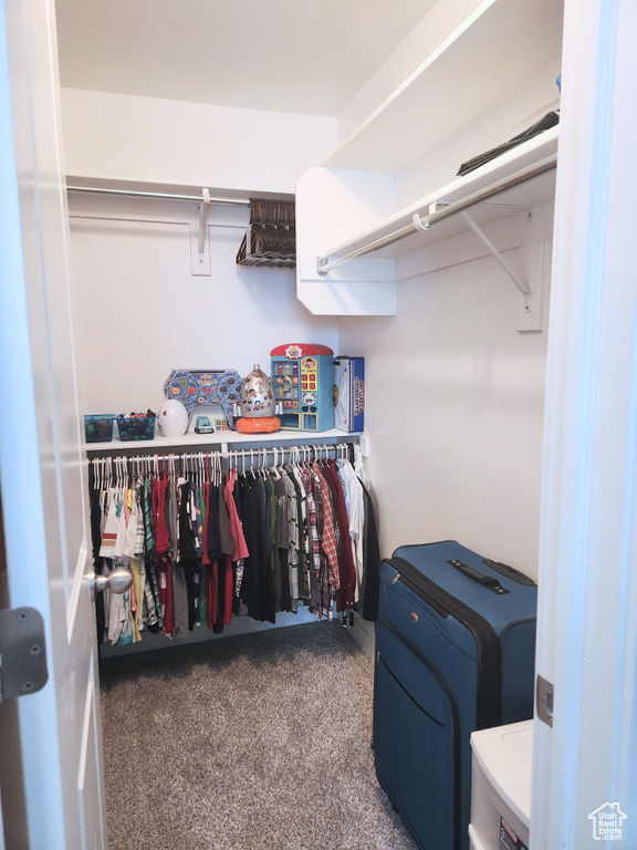 Walk in closet featuring carpet floors