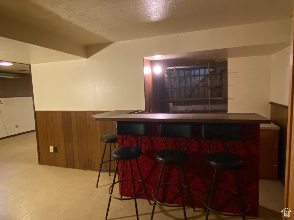 Bar featuring light colored carpet, wooden walls, and a textured ceiling