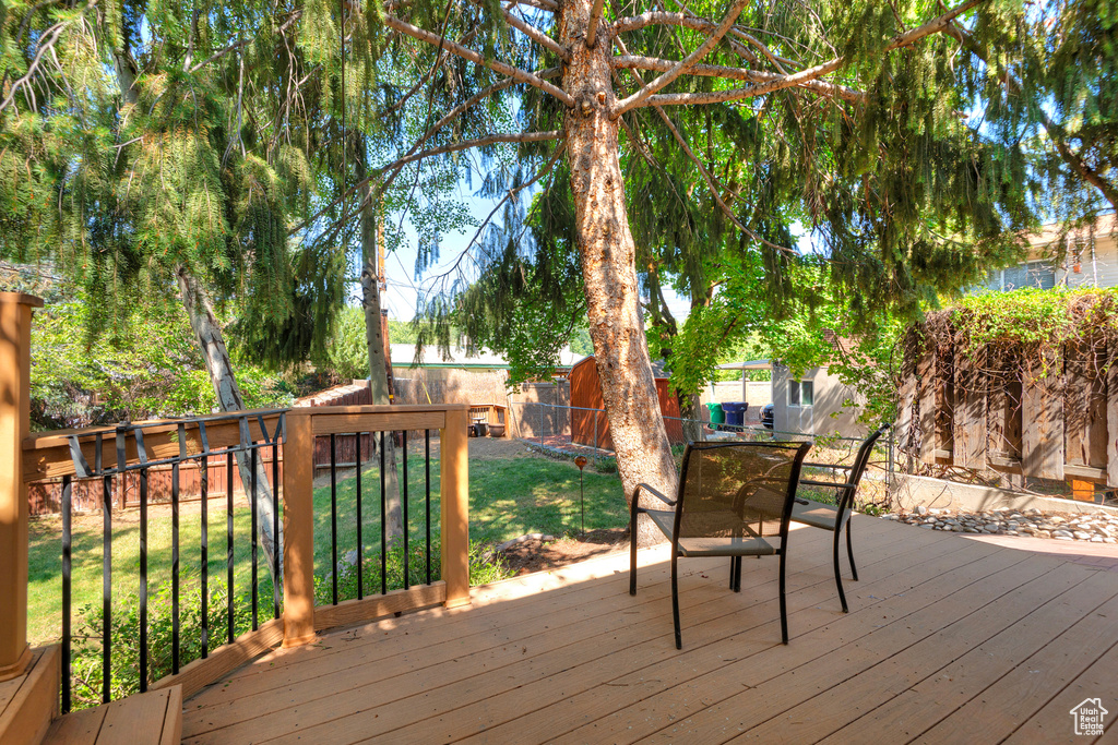 Wooden deck with a lawn