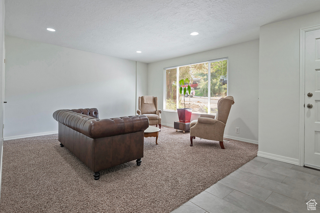 Living room featuring a textured ceiling