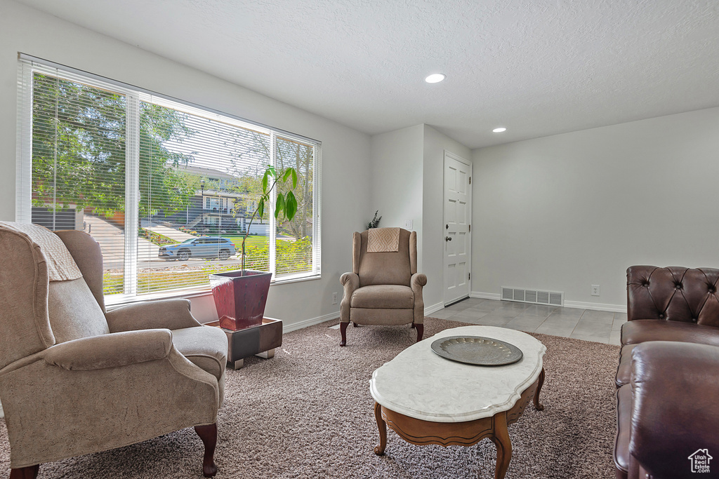 Living room featuring a textured ceiling