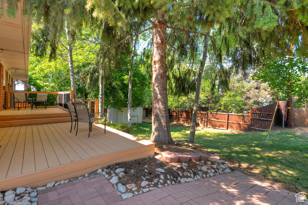 Exterior space with a wooden deck and a storage unit