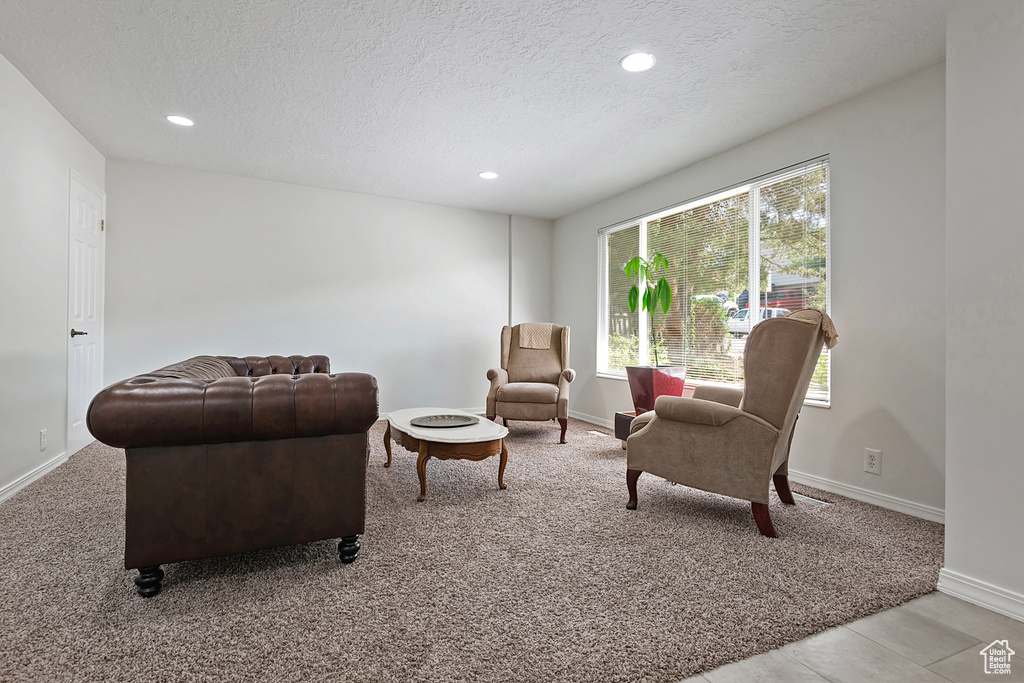 Living room with a textured ceiling