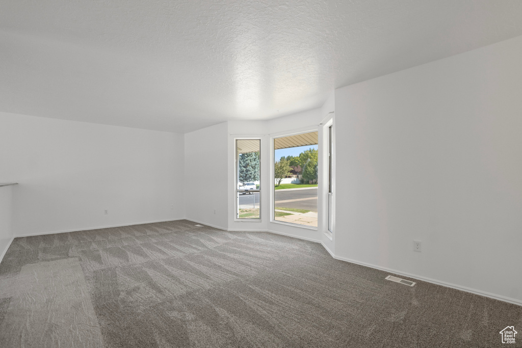 Unfurnished room with carpet flooring and a textured ceiling