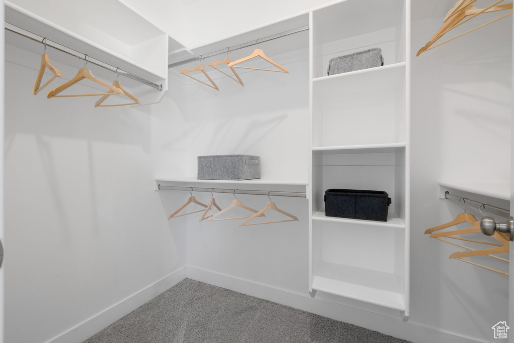 Spacious closet featuring carpet flooring