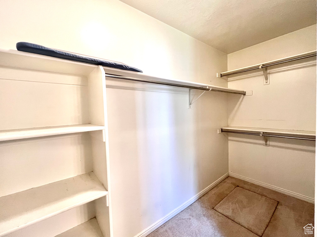 Spacious closet featuring light carpet