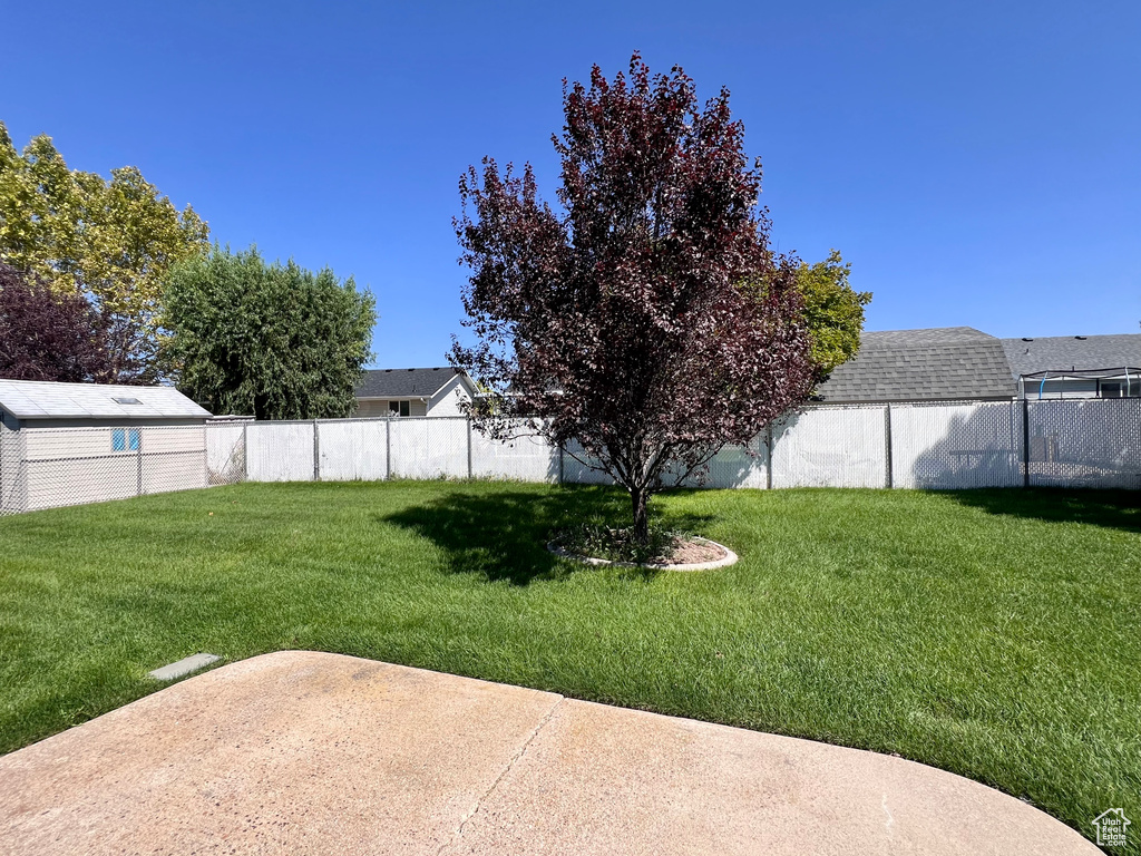 View of yard with a patio