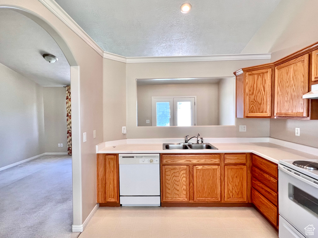 Kitchen with light carpet, ornamental molding, white appliances, a textured ceiling, and sink