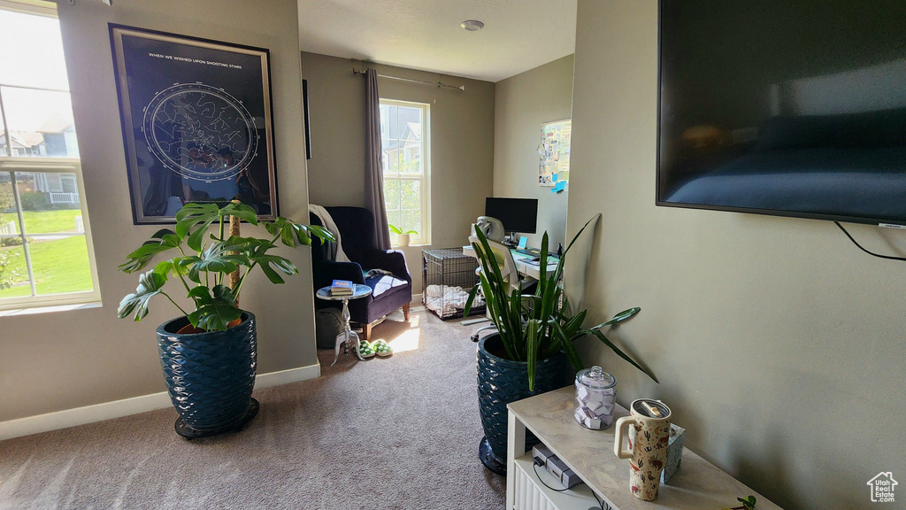 Interior space featuring carpet flooring and a wealth of natural light