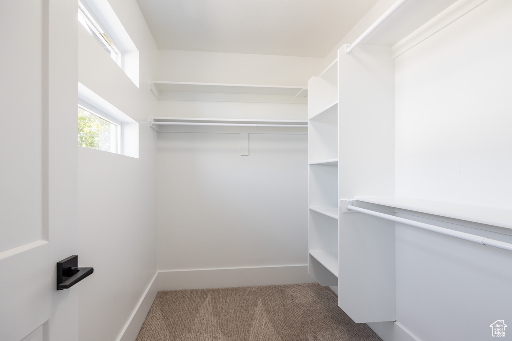 Spacious closet with carpet floors