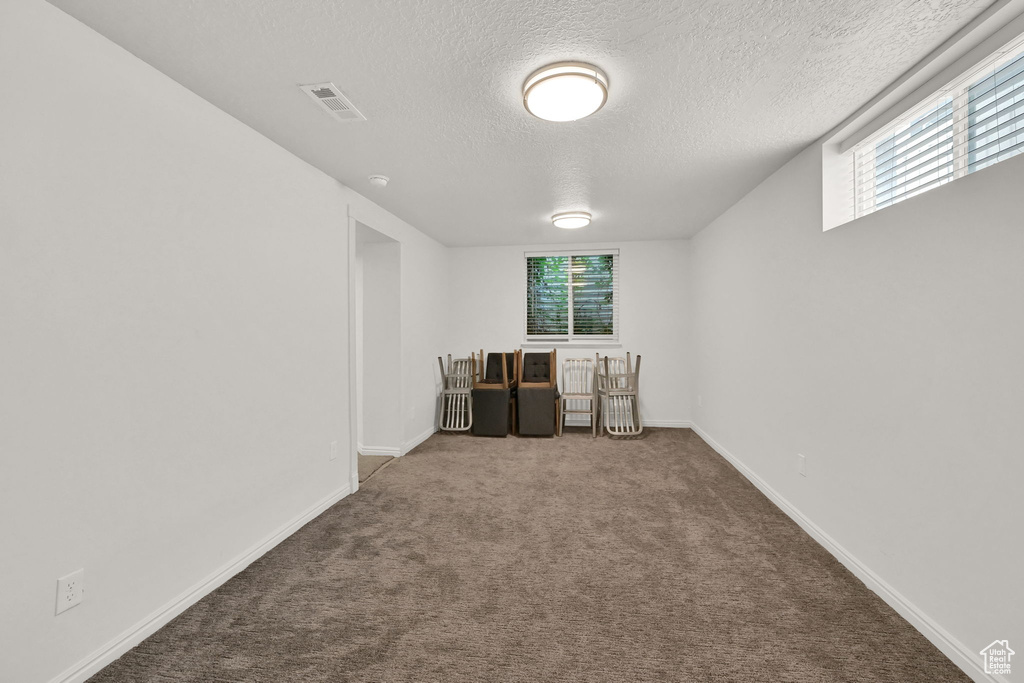 Basement with a textured ceiling and carpet floors