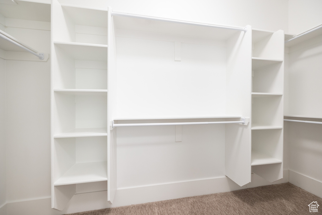 Spacious closet featuring carpet floors