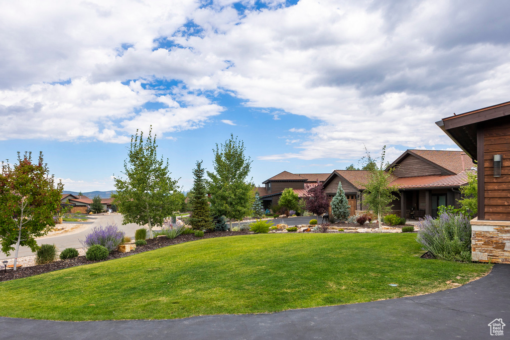 View of grassy yard
