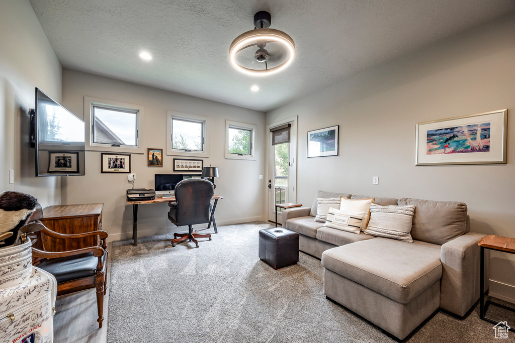 Office with carpet flooring, baseboards, and recessed lighting
