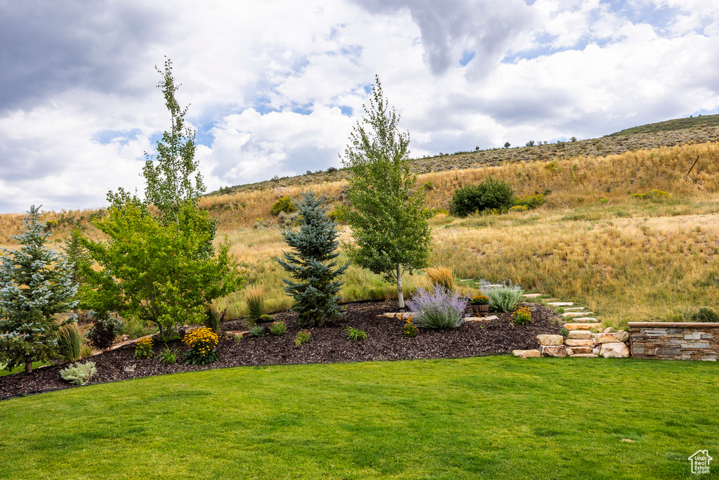 View of grassy yard