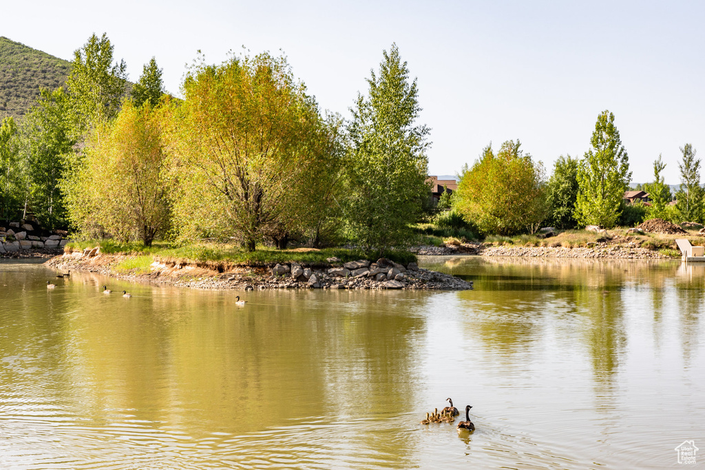 Water view