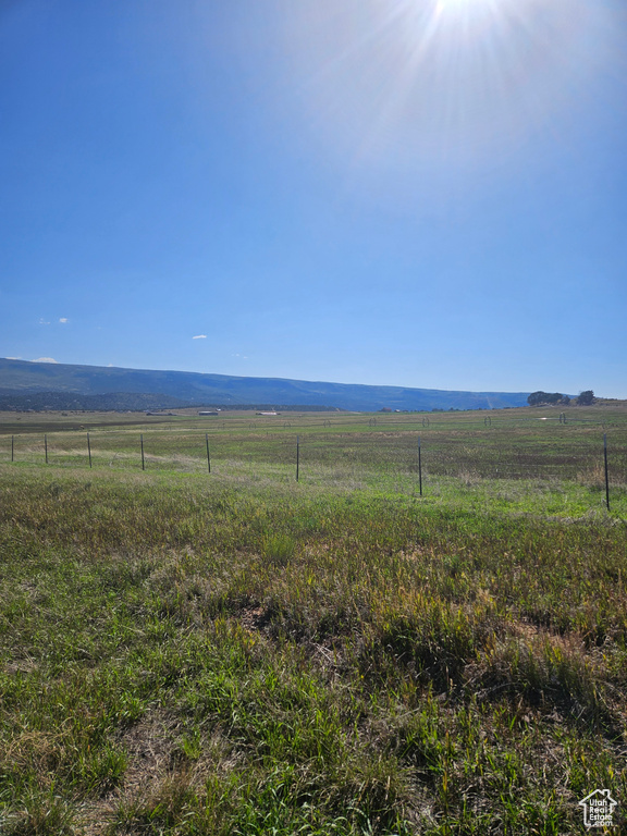 View of local wilderness with a rural view