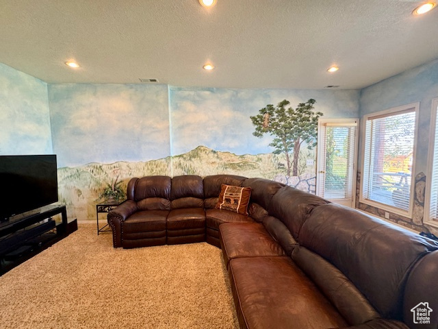 Living room featuring a textured ceiling and carpet floors