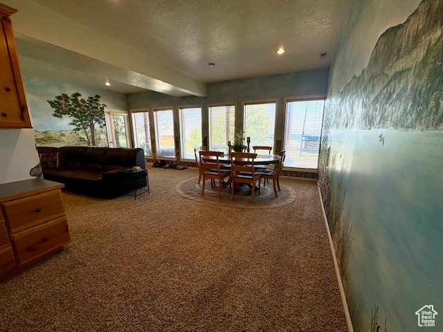 Carpeted living room with a textured ceiling