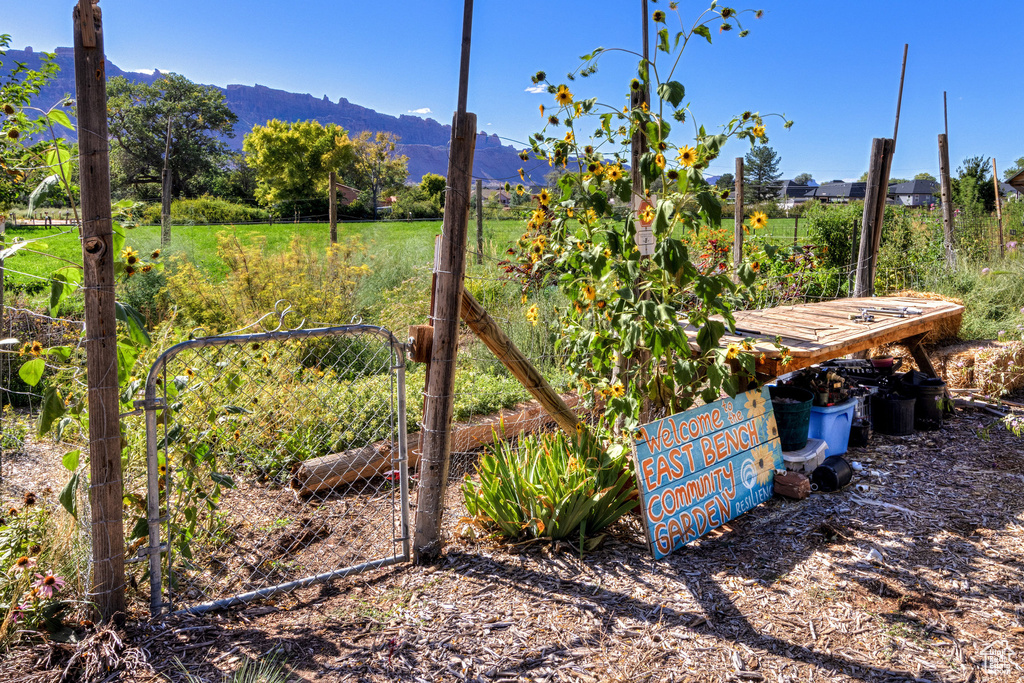 View of yard featuring a mountain view and a view of countryside