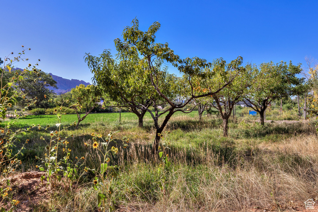 View of undeveloped land featuring mountains