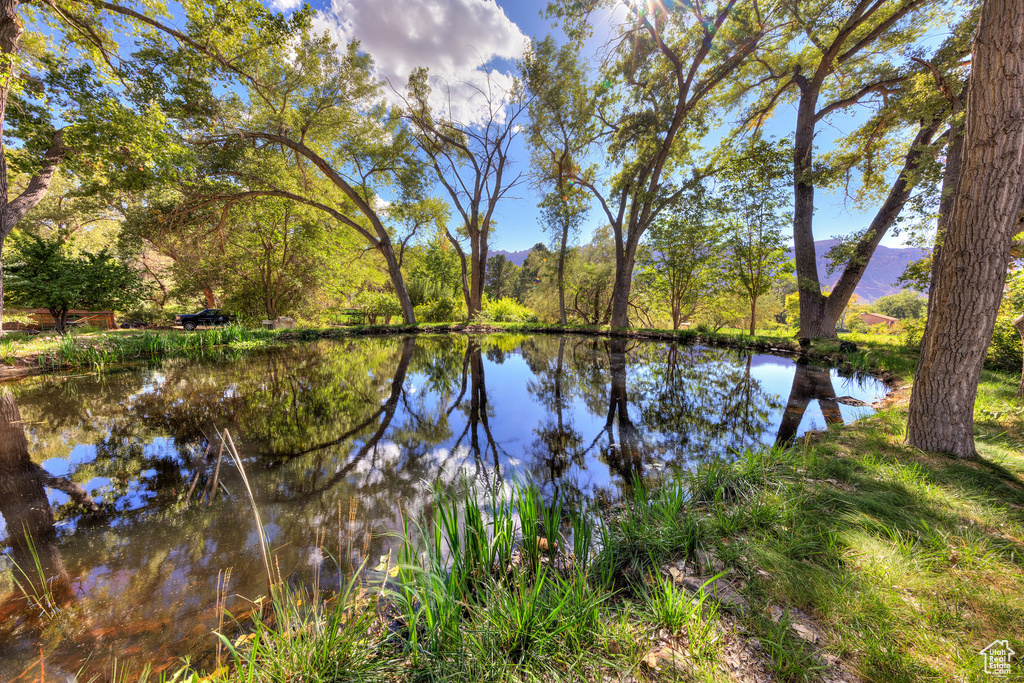 Water view