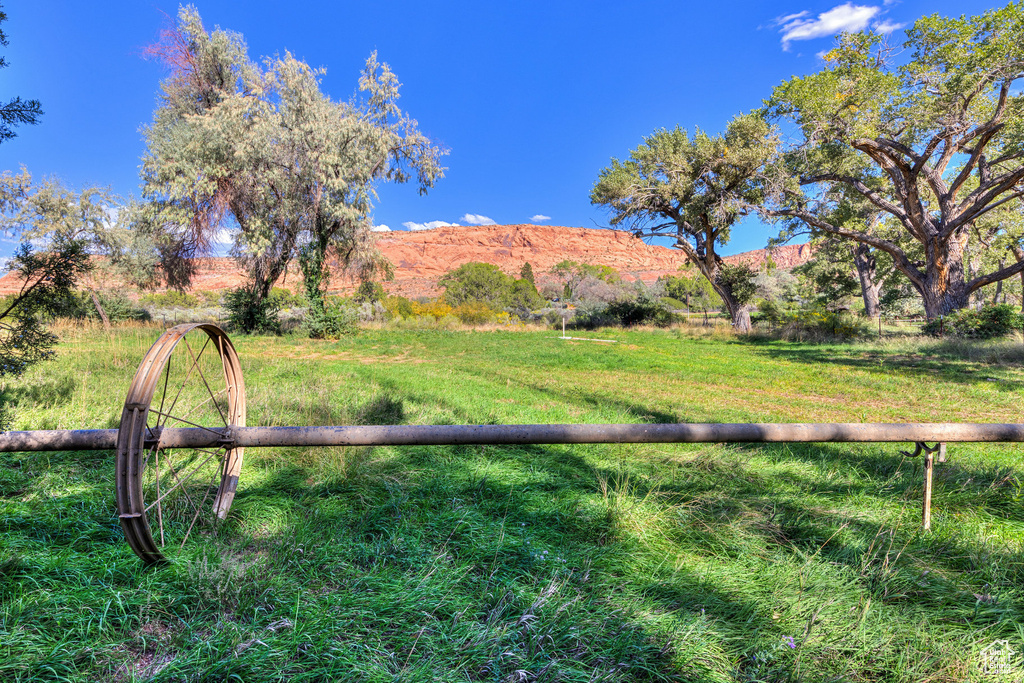 View of yard with a view of rural / pastoral area and a mountain view