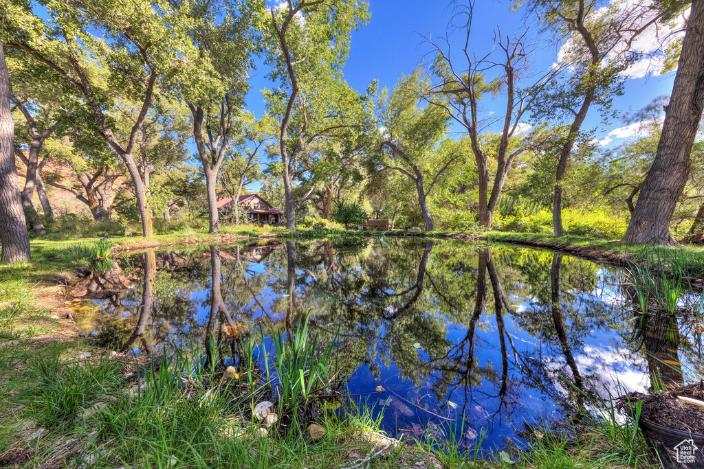 Water view