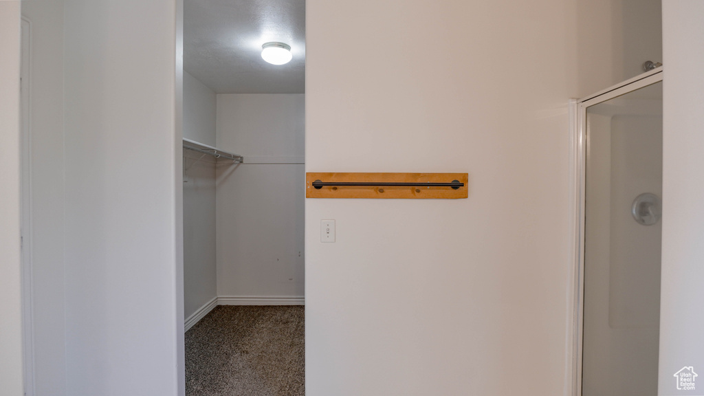 Spacious closet with carpet flooring