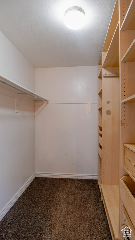 Walk in closet featuring carpet floors