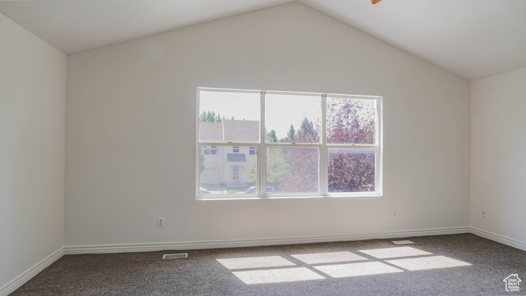 Unfurnished room with lofted ceiling, carpet, and a healthy amount of sunlight