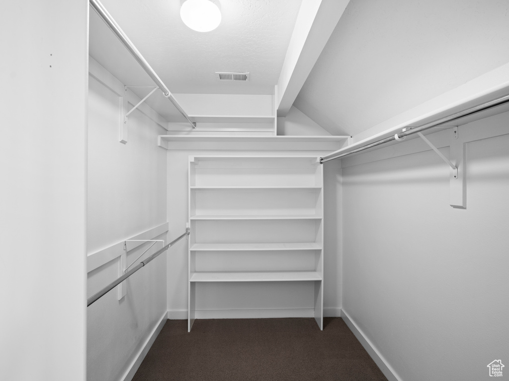 Spacious closet with carpet